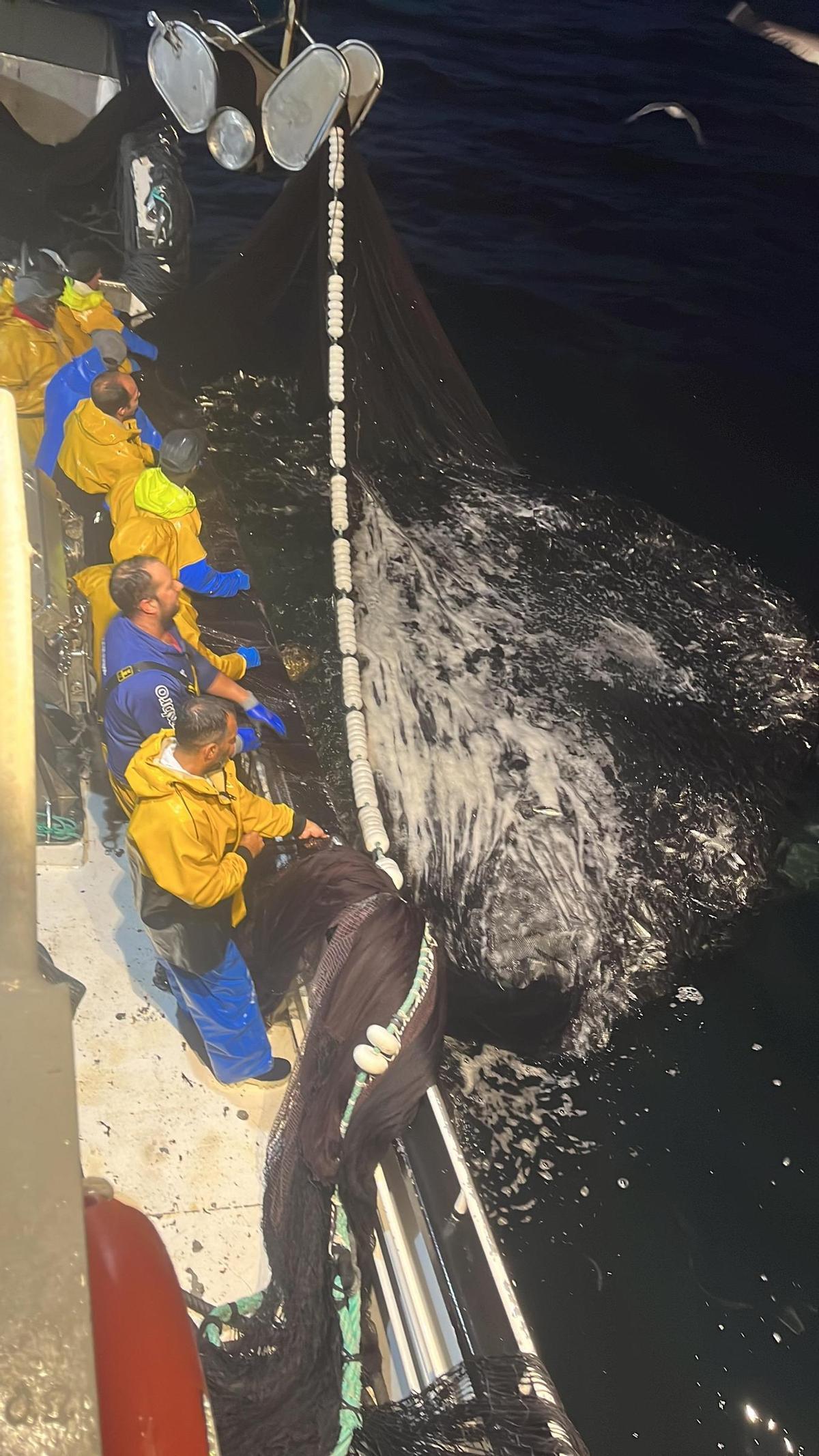 Marineros del «Nuevo Miñones» tiran del aparejo, lleno de anchoa.
