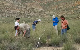 Un biólogo de Sax lidera una investigación mundial para frenar el avance del desierto