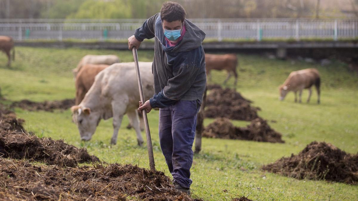 Un trabajador del sector ganadero.