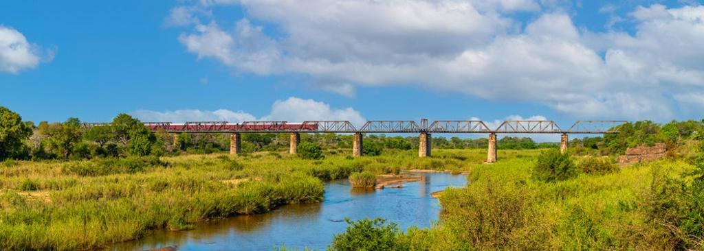 El tren a su paso por el puente. 
