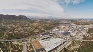 La cifra de empresas gacela de Alicante empieza a remontar tras la pandemia