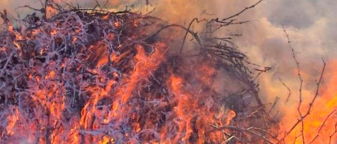 Agricultura permitirá las quemas agrícolas para evitar plagas e incendios