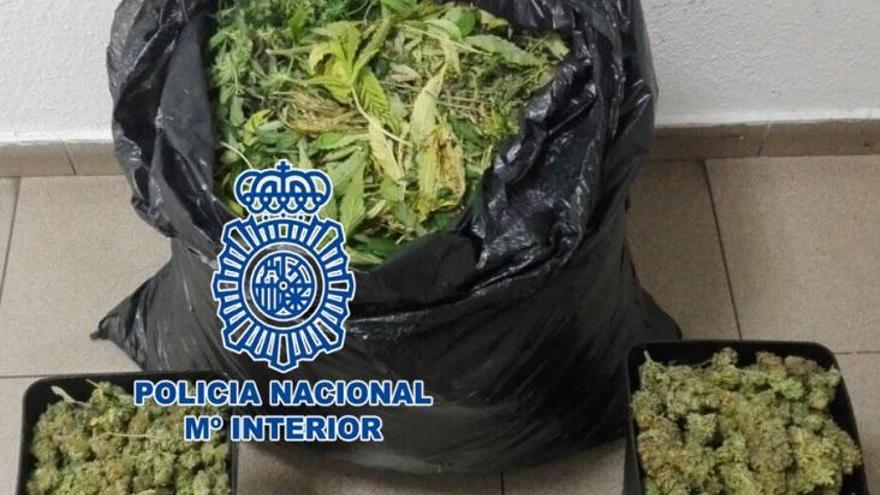 La Policía Nacional desmantela una plantación de marihuana en una casa a las afueras de Córdoba