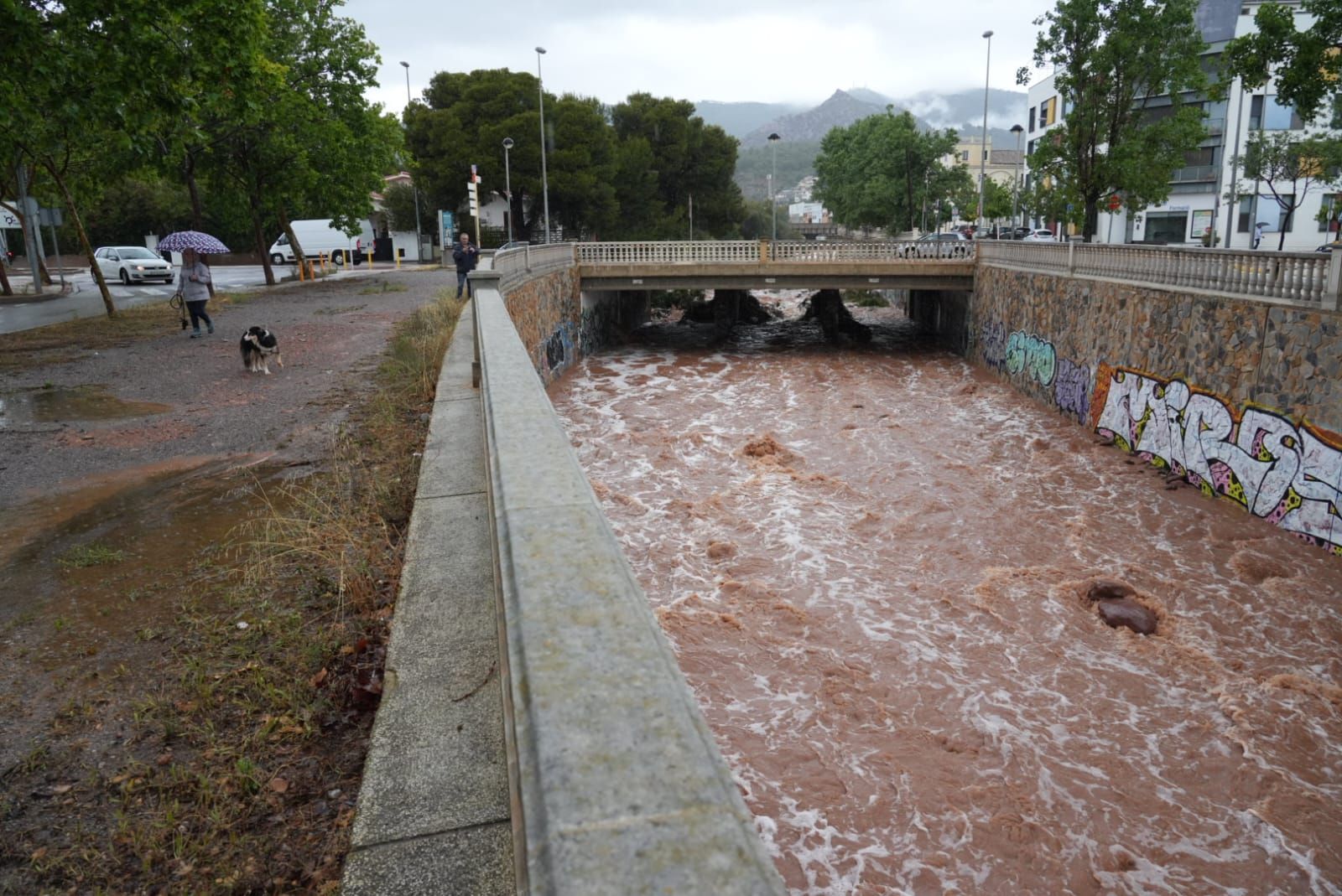 Galería de fotos: Los desperfectos que han provocado las fuertes lluvias en Castellón