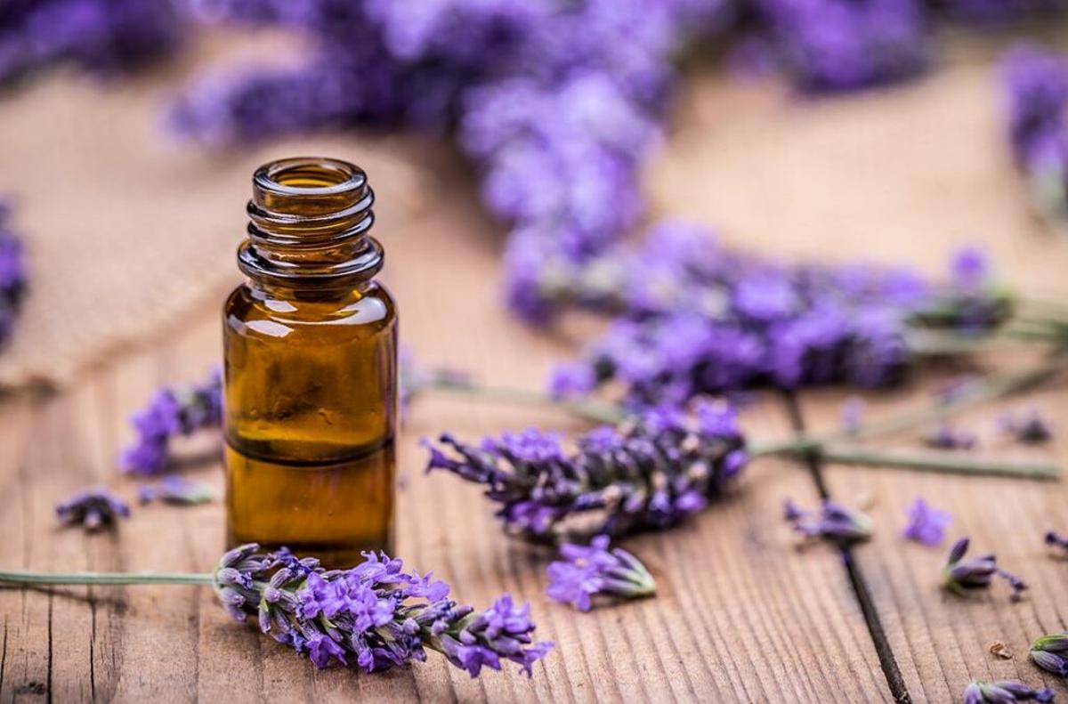 Pezuela de las Torres cuenta también con una destilería que transforma la flor recolectada en aceite esencial destinado a productos cosméticos y farmacéuticos