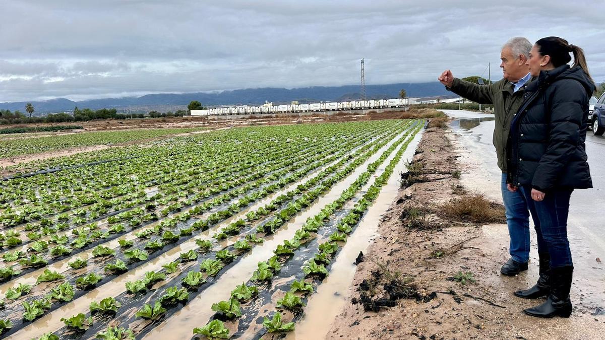 La consejera Sara Rubira junto al alcalde de Totana, Juan Pagan, este martes en uno de los campos de hortalizas anegados por las lluvias.