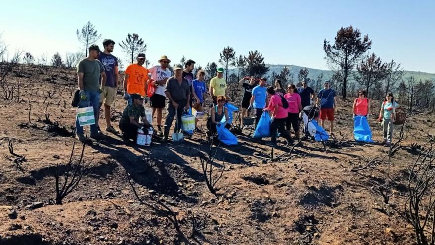 Algunos de los voluntarios que salieron a recoger basura en los montes de Las Torres de Aliste. | Chany Sebastián