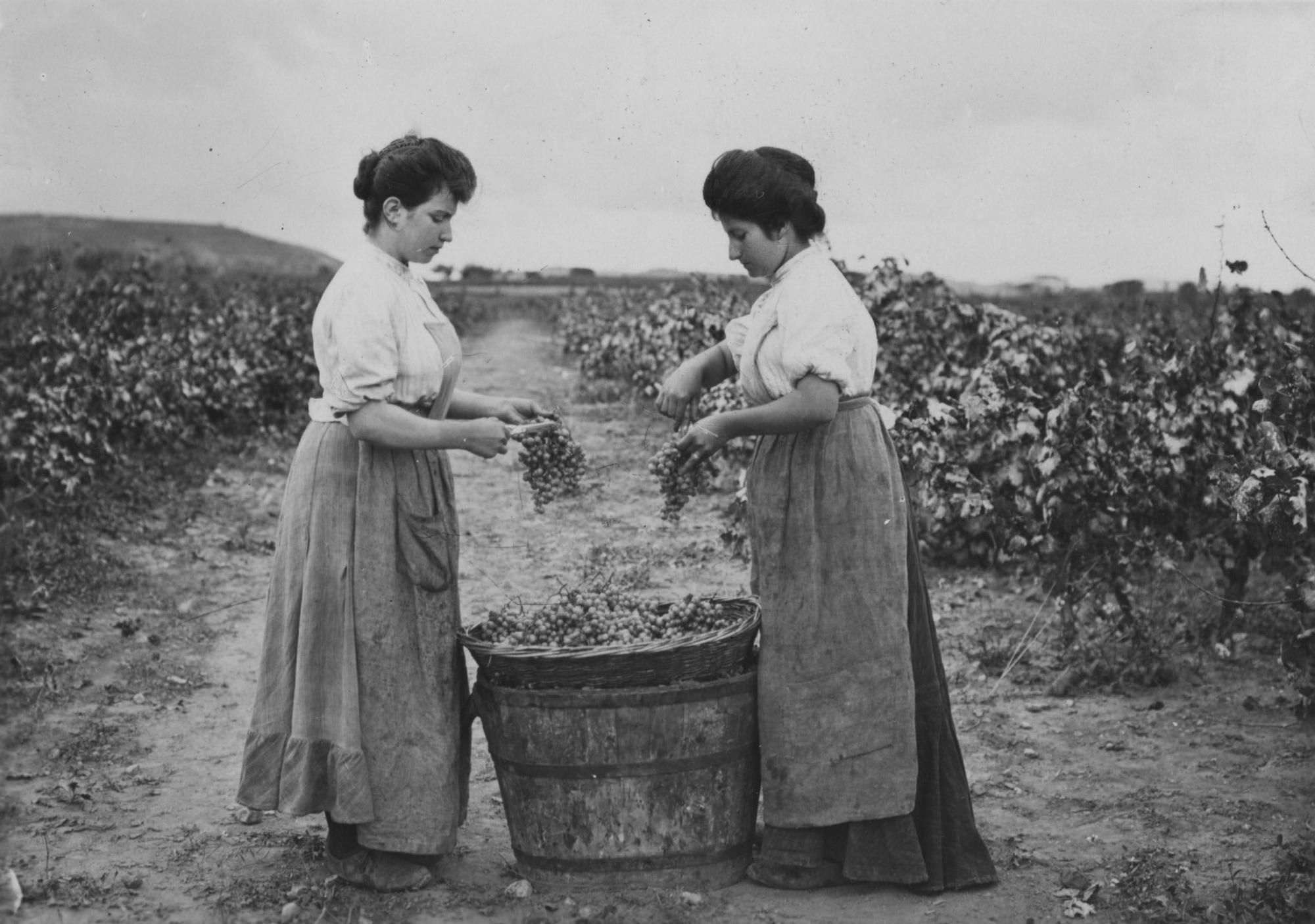 Dos mujeres en viñedos de Raventós Codorníu.