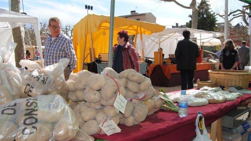 Patates més cares a causa de la mala collita per falta de pluja