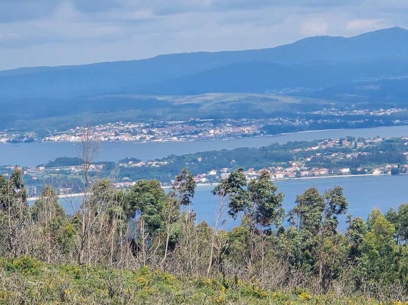 Día Europeo de la Red Natura 2000, una jornada para la reflexión en las Rías Baixas.