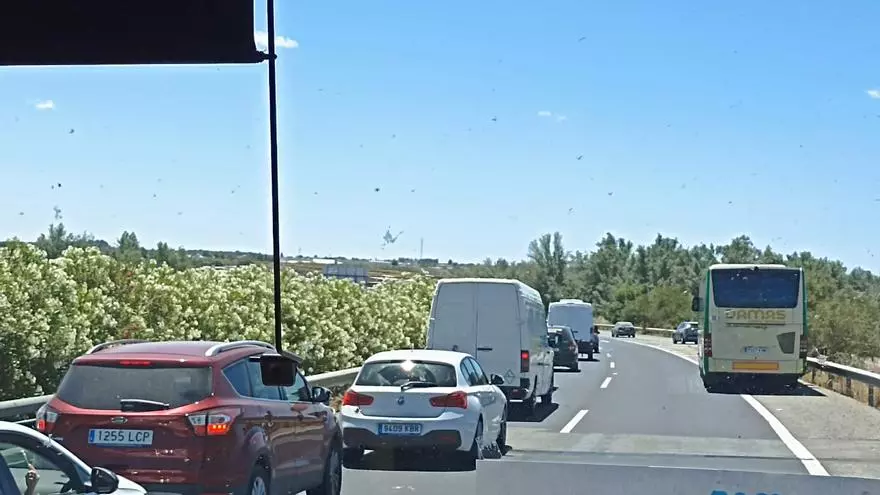 La avería de dos autobuses provoca grandes retenciones camino de El Rocío