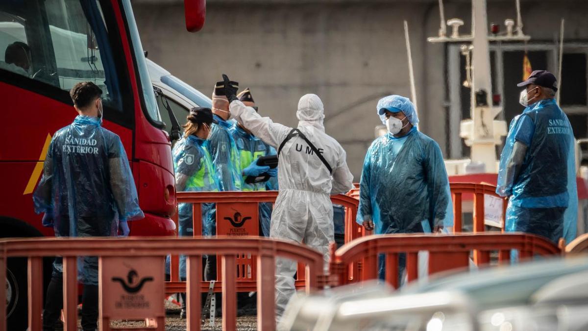 Sanidad descarta mutaciones relevantes en el hantavirus del crucero MV Hondius tras los primeros análisis
