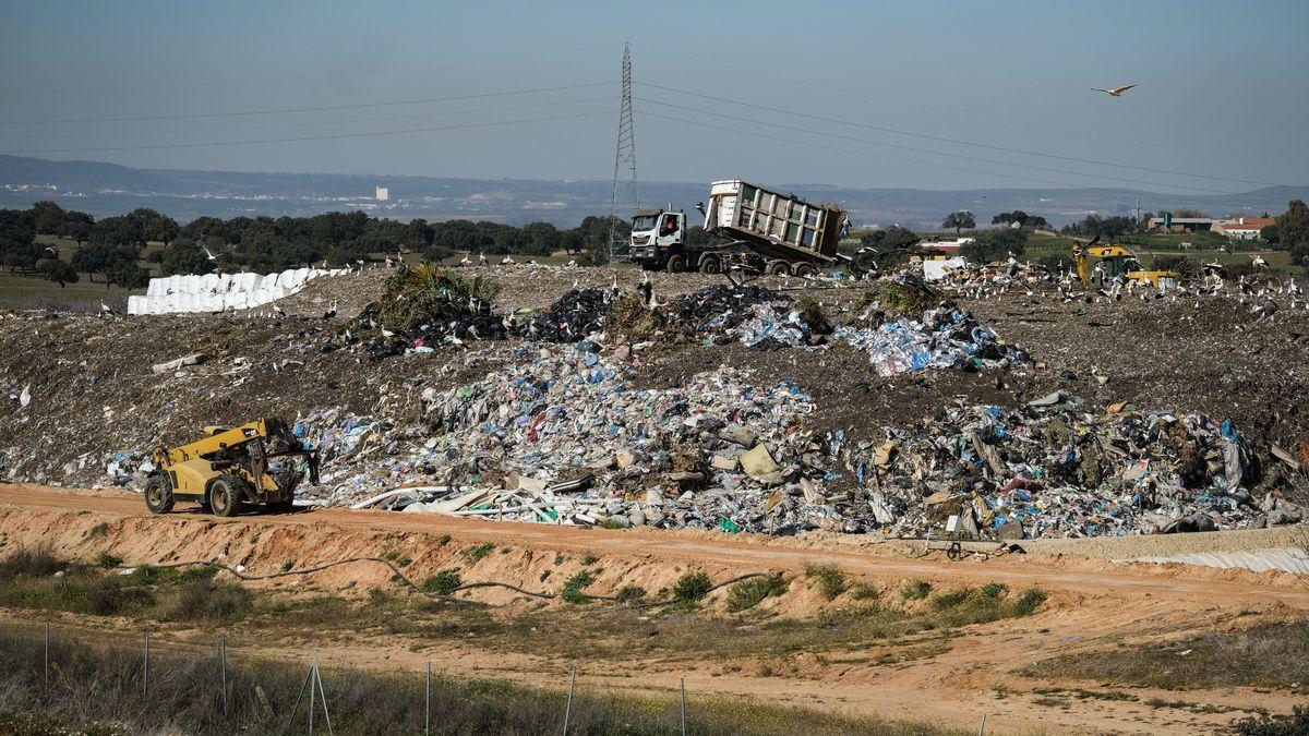 La gestión del ecoparque de Badajoz saldrá a concurso tras siete años prorrogada