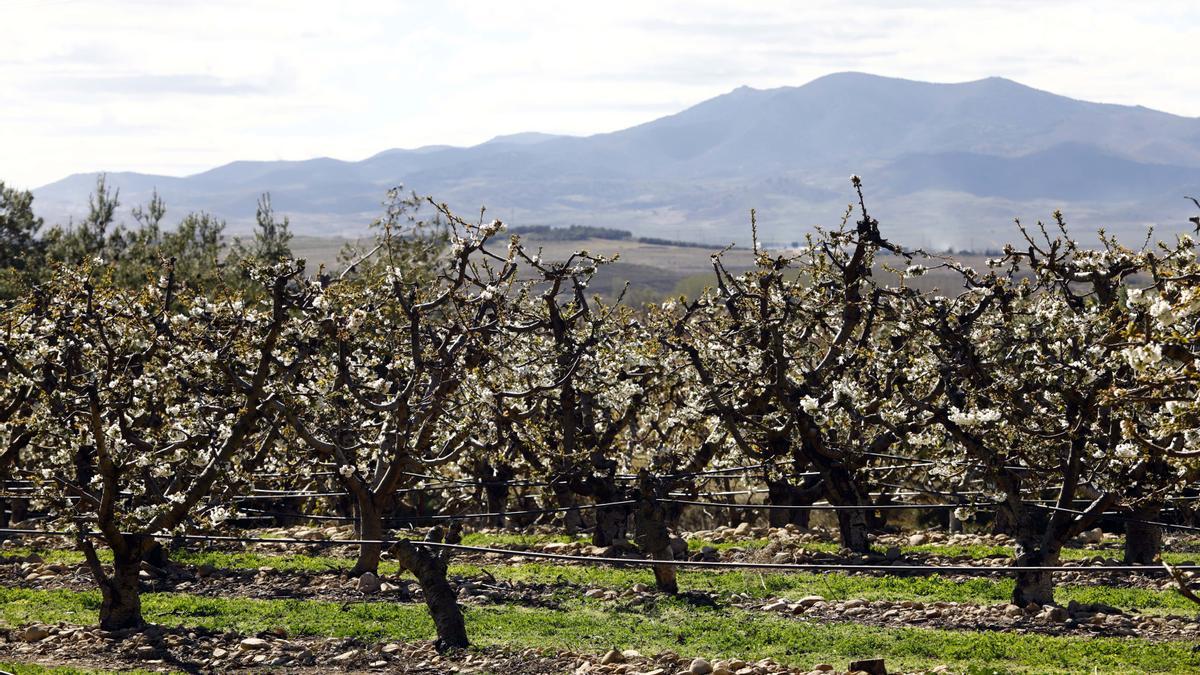 Prensa Ibérica quiere contribuir a valorar, cuidar e impulsar los pueblos y sus entornos rurales.