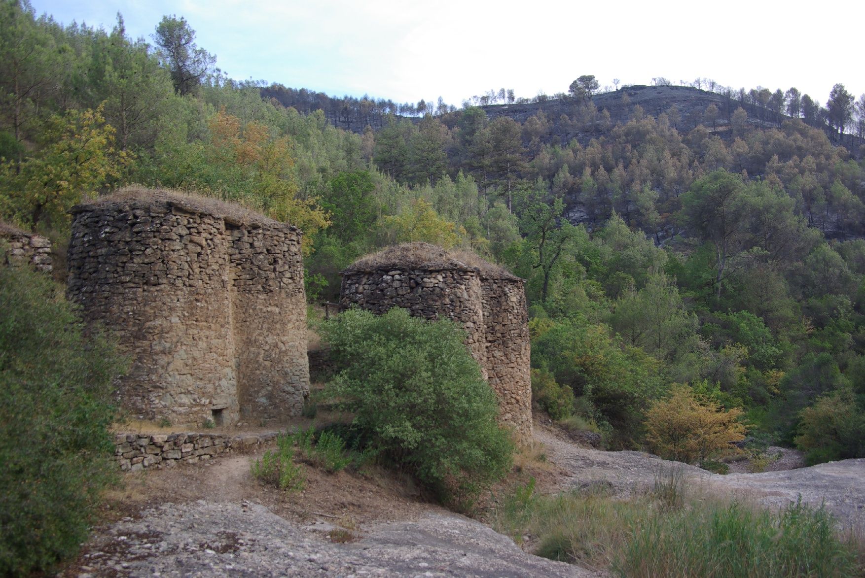 El foc envolta de cendra les tines de la Vall del Flequer