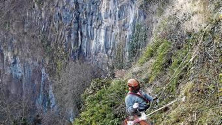 Comença la neteja del cingle de Castellfollit