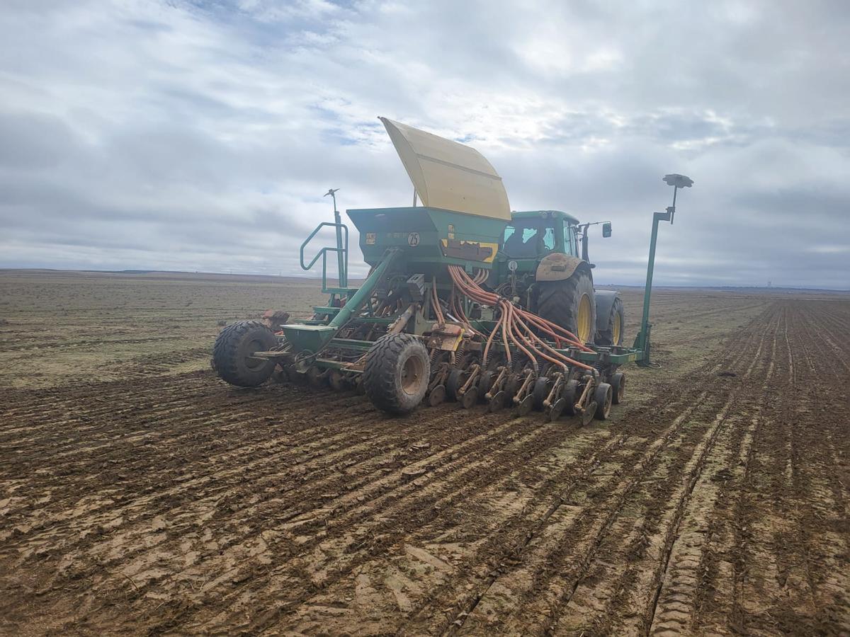 Siembra de campos de ensayo en Villamayor de Campos