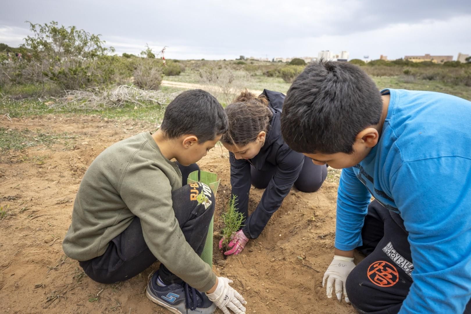 Jornada escolar plantación de especies autóctonas junto al parque natural de las lagunas de Torrevieja y La Mata
