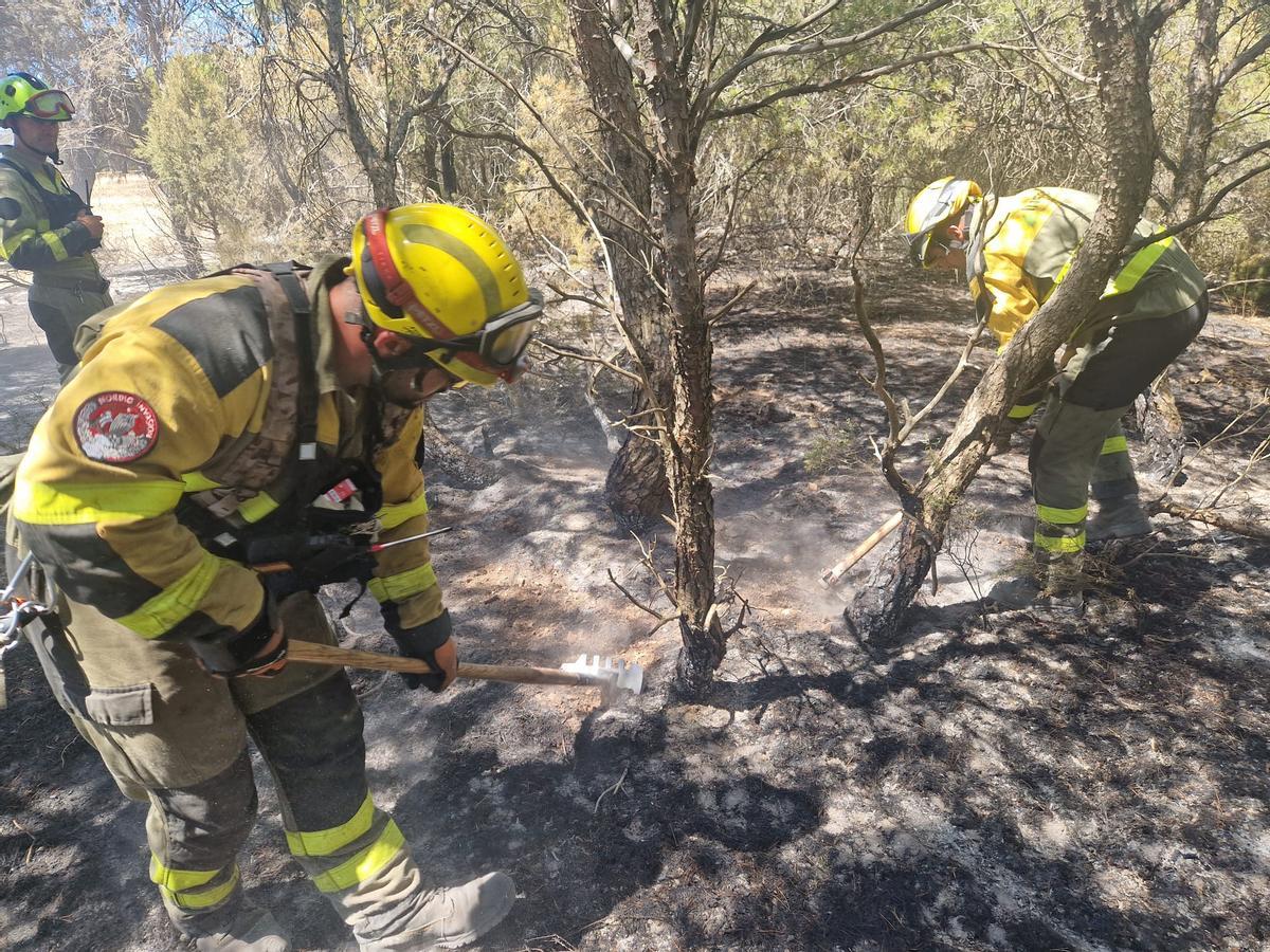 En imágenes I El operativo del Infoar en el sector 1 del incendio de Leciñena, este viernes En imágenes I El operativo del Infoar en el sector 1 del incendio de Leciñena, este viernes