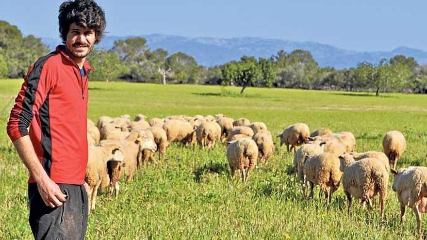 Lluis Cirera stellt auf seiner Finca bei Llucmajor unter anderem Schafskäse her.