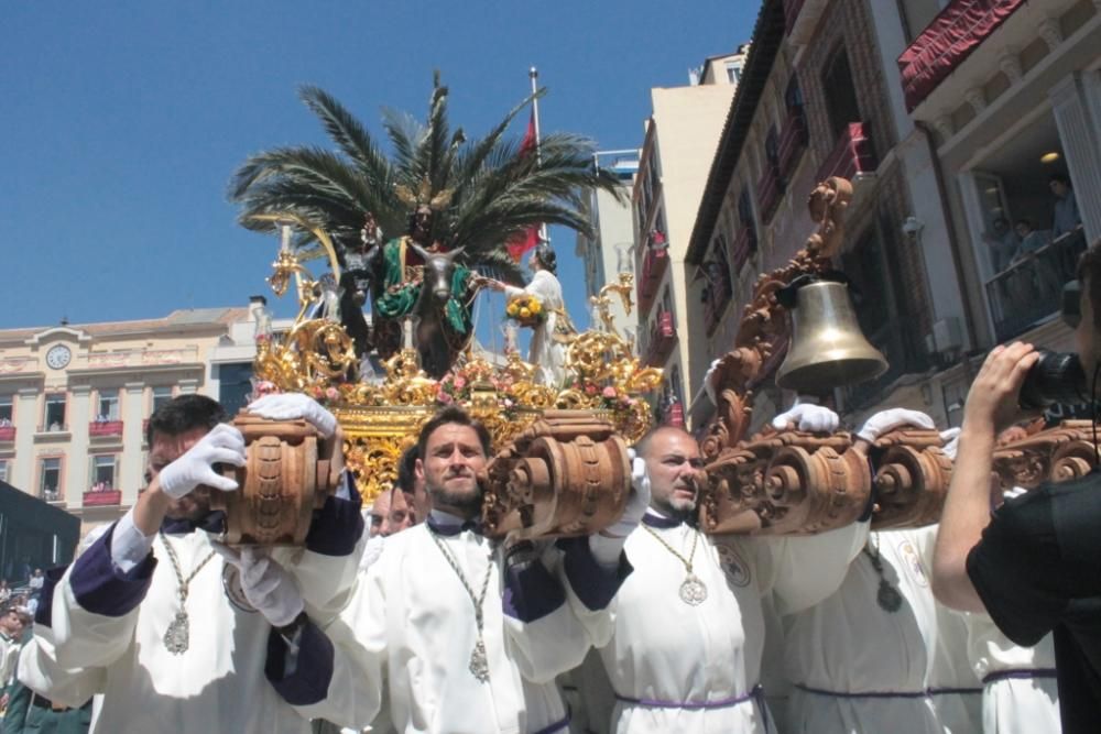 La cofradía de la Pollinica en la plaza de la Constitución.