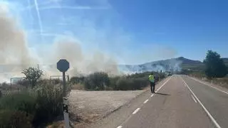 Última hora: se reactiva el incendio junto a la A-66 en Cáceres y vuelve a cortar trenes entre Madrid y Badajoz