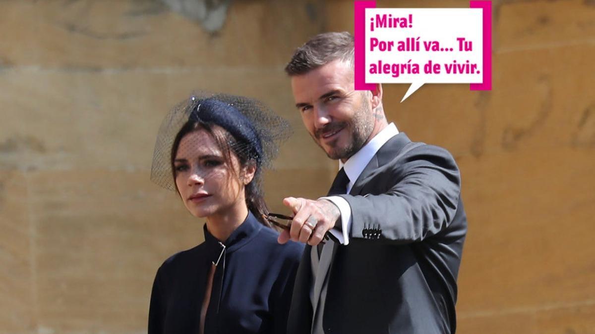 Ni un perrete consigue que Victoria Beckham sonría