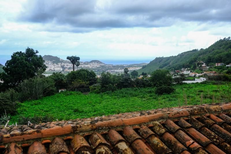 El agua caída con filomena beneficia al campo aruquense