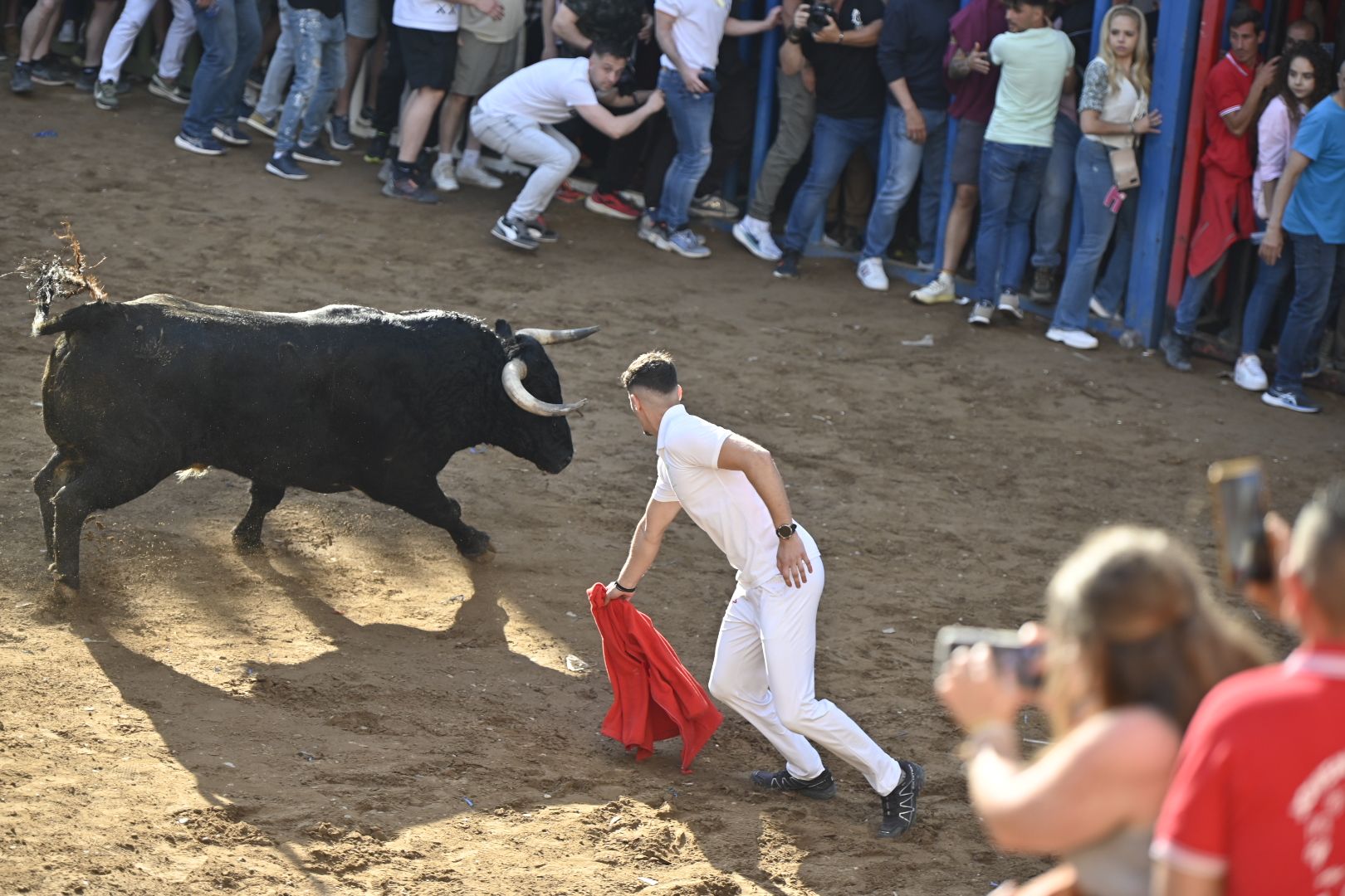 Galería | Primera tarde de toros en Almassora