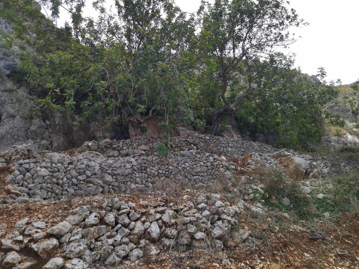 El Castell d’Ambra del siglo XIII, la gran atalaya de Pego