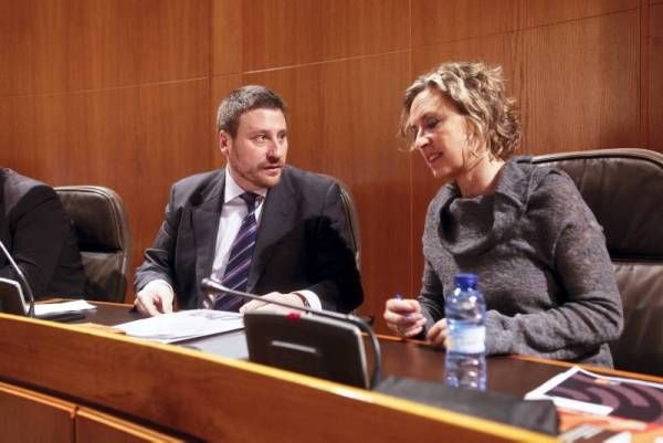 Fotogalería de la sesión plenaria de las Cortes de Aragón
