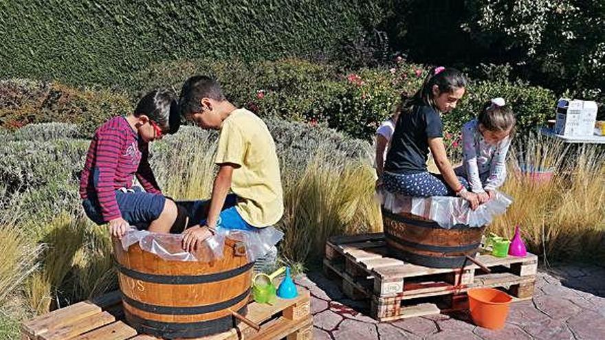 Niños asisten a las labores de vendimia en el Museo del Vino con un taller de pisado de uva