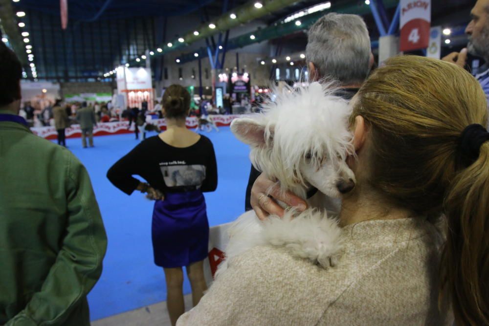 6º Salón del Animal de Compañía Mi Mascota