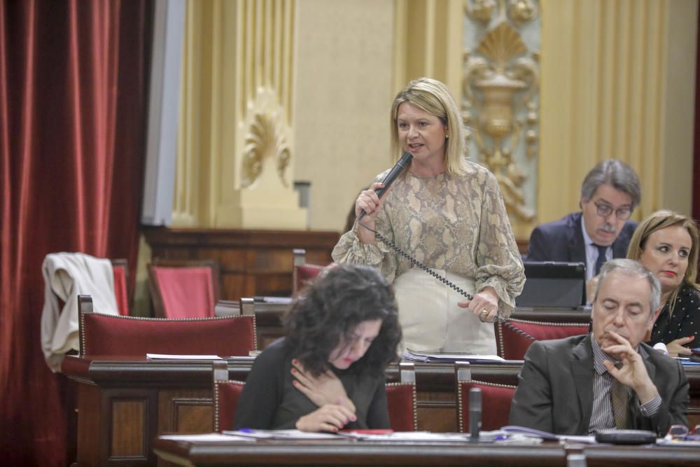 Pleno del Parlament 26 de febrero de 2019