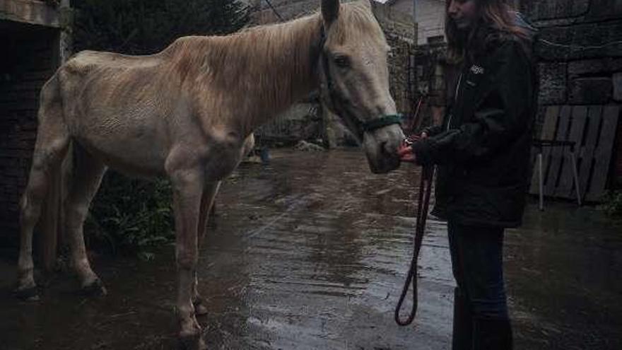 El caballo que fue rescatado, con una voluntaria del Refugio. // I.Abella