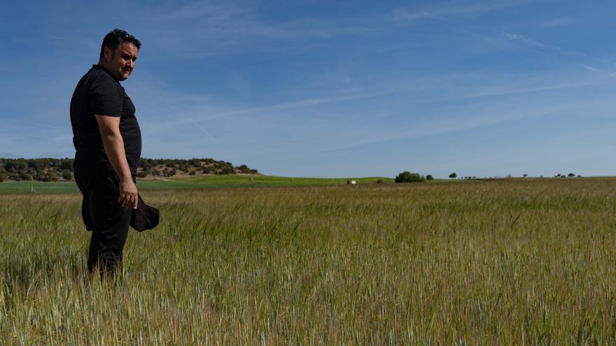 El campo zamorano, ante el desafío de la sequía: &quot;Estamos con la soga al cuello&quot;