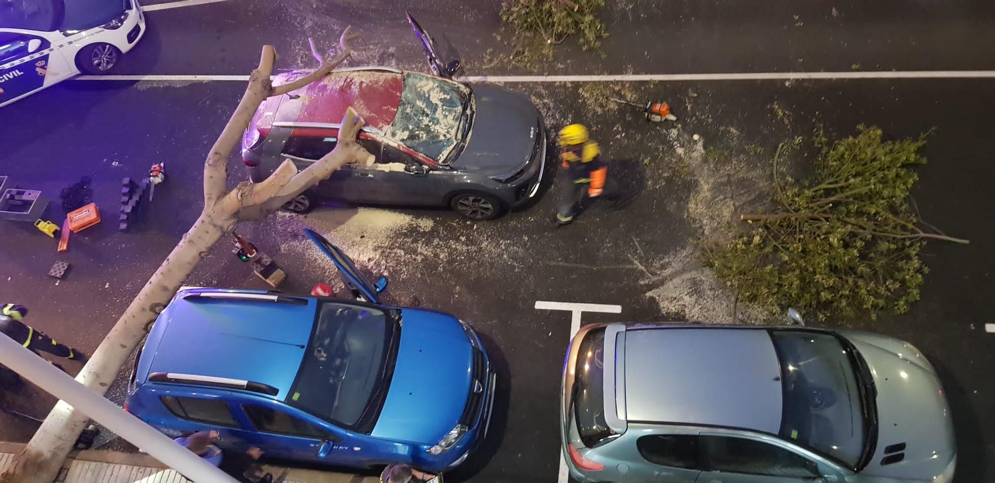Las fotos de la caída de un árbol encima de un coche en Guía
