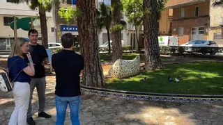 Vila-real busca soluciones para poner coto a la sobrepoblación de palomas