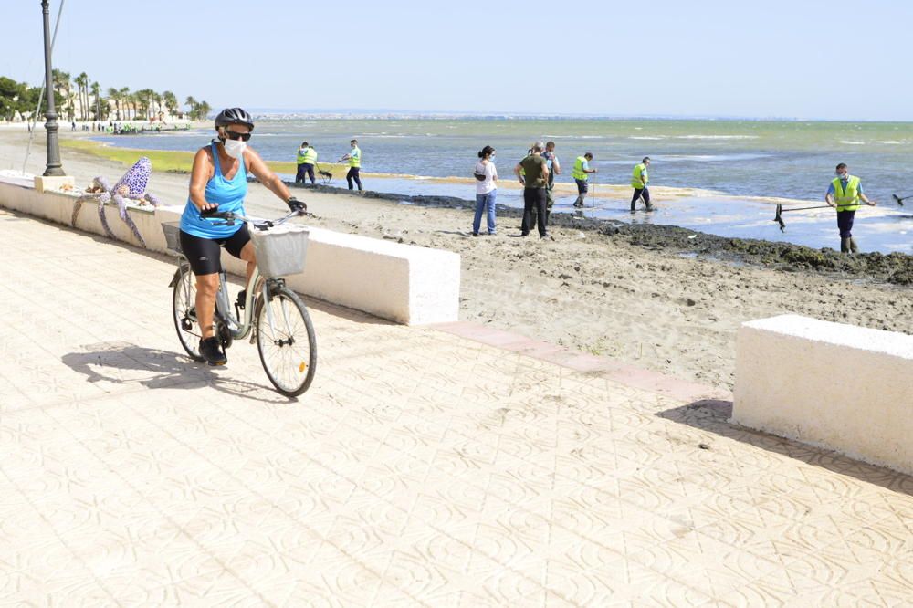 Limpieza del Mar Menor en Los Alcázares