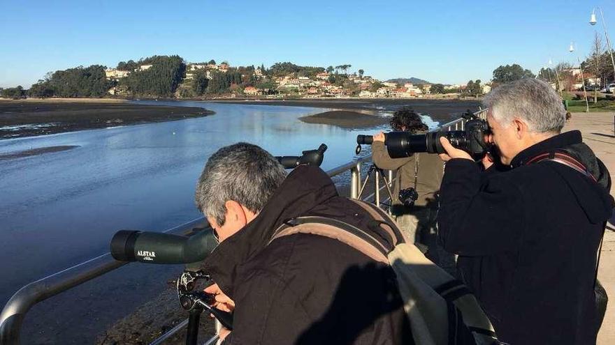 Tres participantes en la jornada de observación de aves de A Foz, ayer en el paseo.