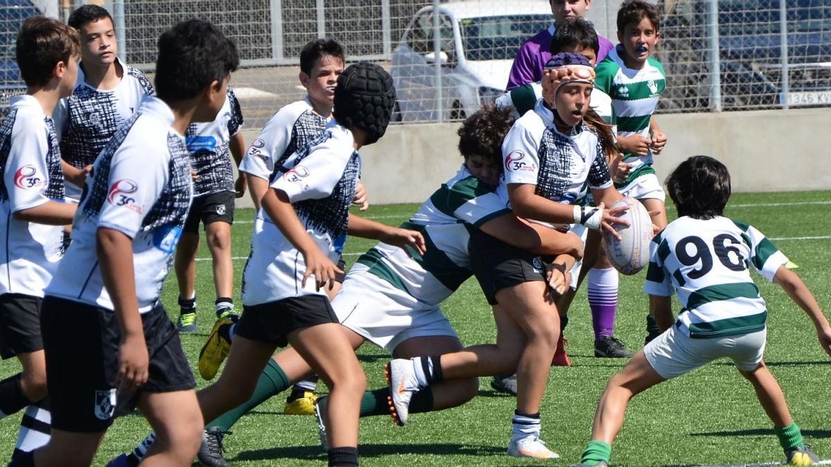 In den Juniorenkategorien laufen Jungen und Mädchen gemeinsam beim Rugby auf.  | FOTO: EL TORO