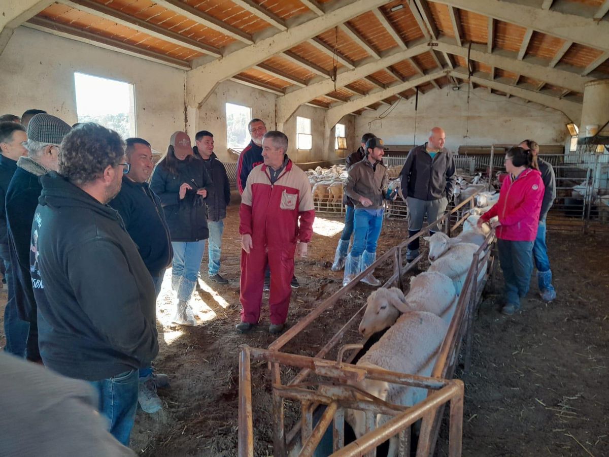 Una de las salidas que incluía el congreso a una de las explotaciones ganaderas de Morella.