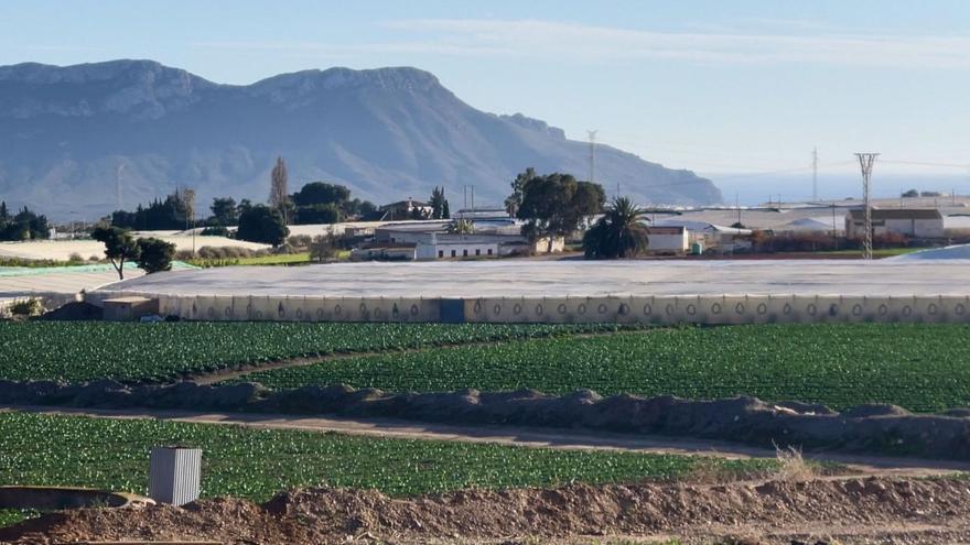 Cultivos de regadío ubicados en Águilas.  L.O.