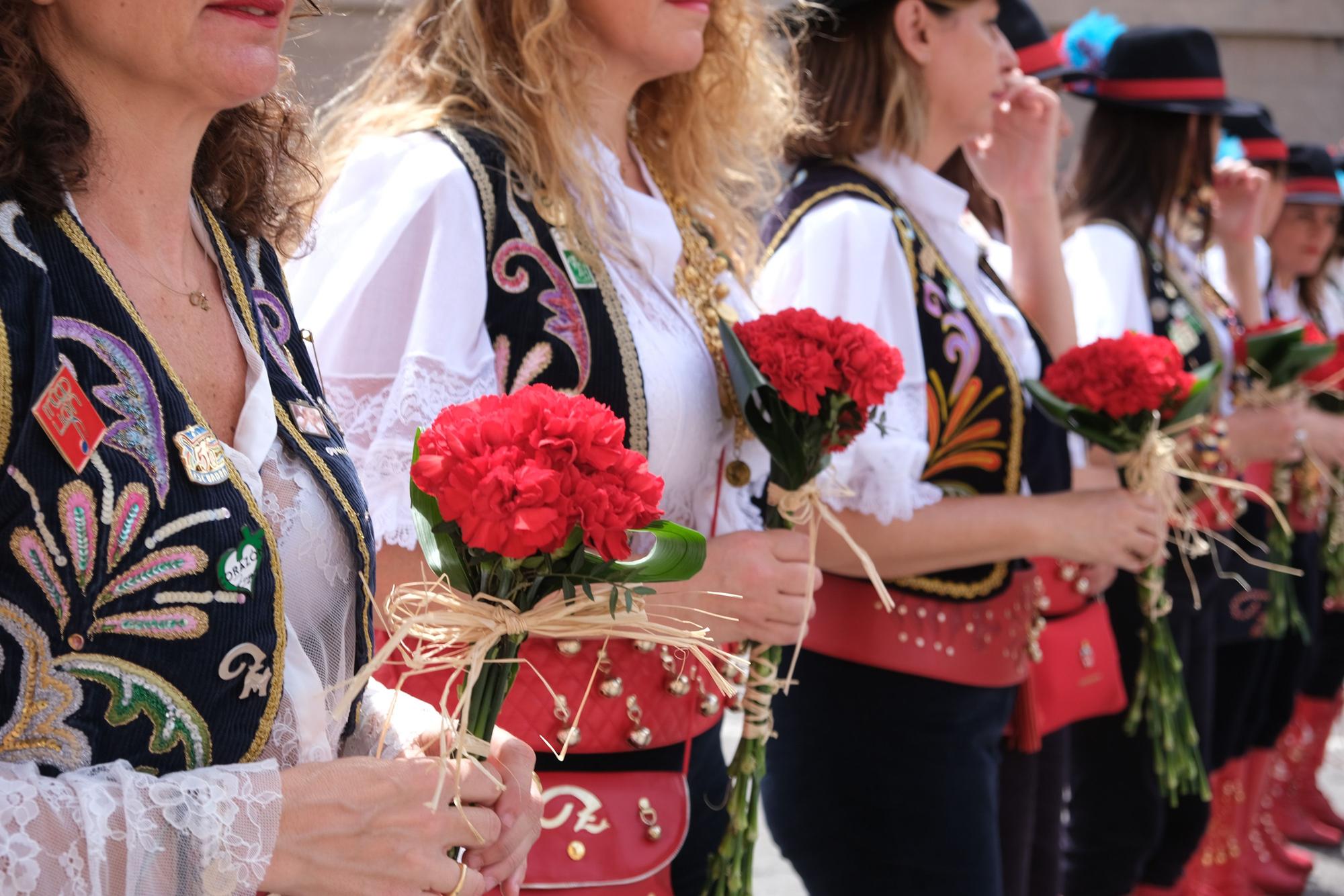 Flores para San Antón