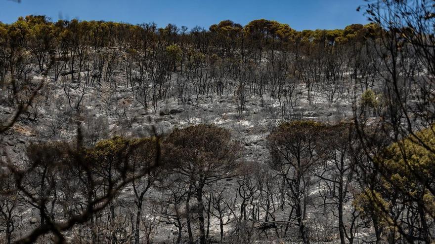 L’incendi de les Gavarres continua estabilitzat però els Bombers mantenen la preocupació pel flanc dret