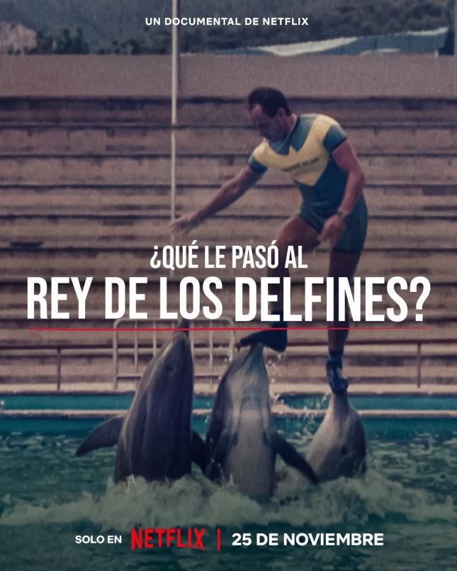 Cartel de &#039;¿Qué le pasó al rey de los delfines?&#039;, de Netflix.