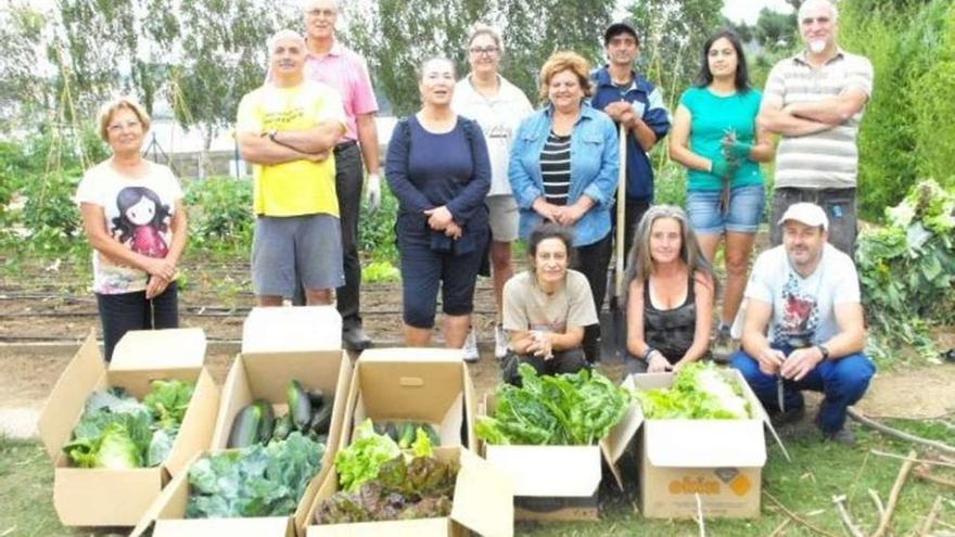 Cosecha solidaria cultivada en los huertos urbanos de O Burgo.