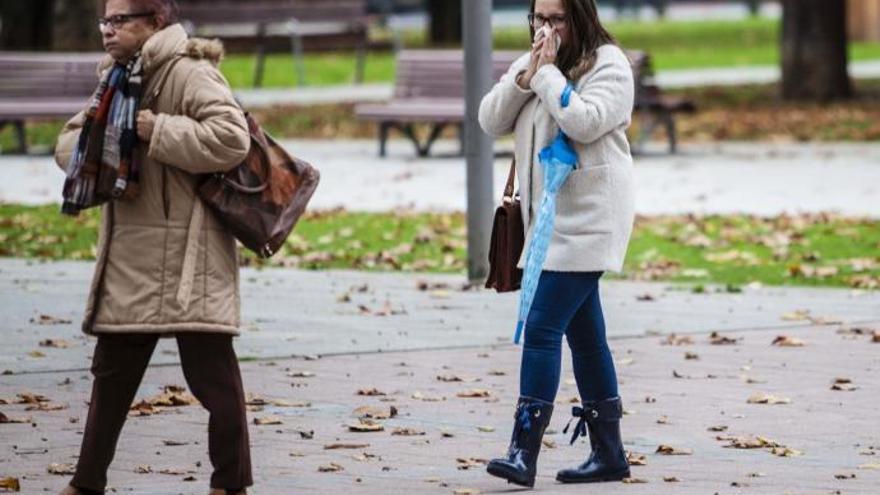 La mañana más fría del invierno: 5,2 grados bajo cero en Piloña