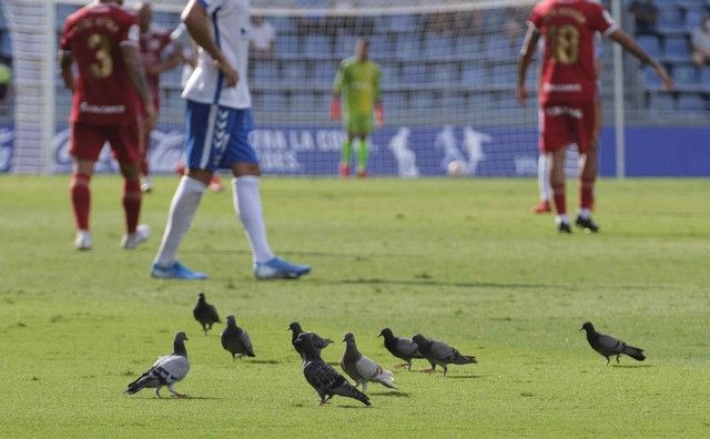 Liga SmartBank: CD Tenerife-SD Ponferradina