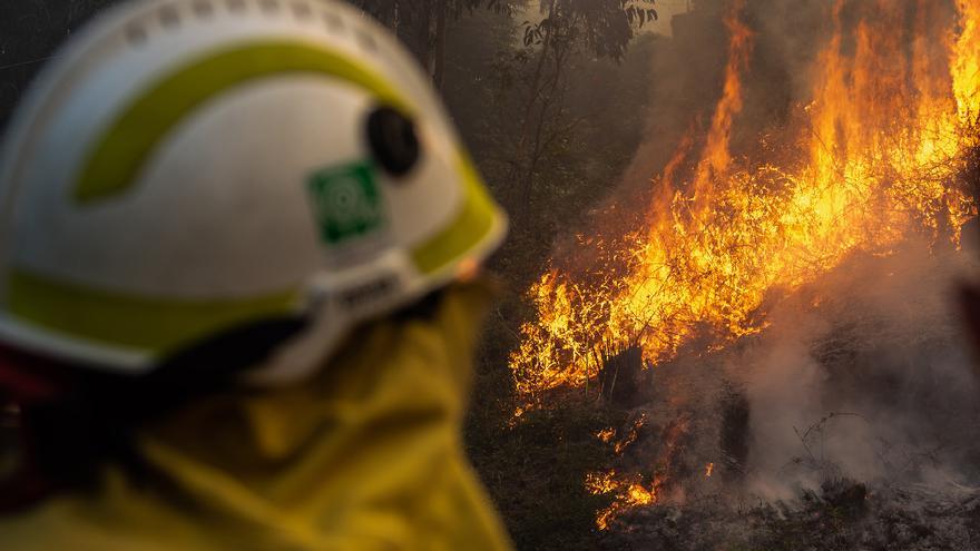 Identifican al presunto autor de varios incendios durante abril en Calvos de Randín